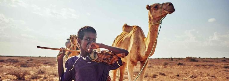 diseno sin titulo   2020 09 18t102151.630