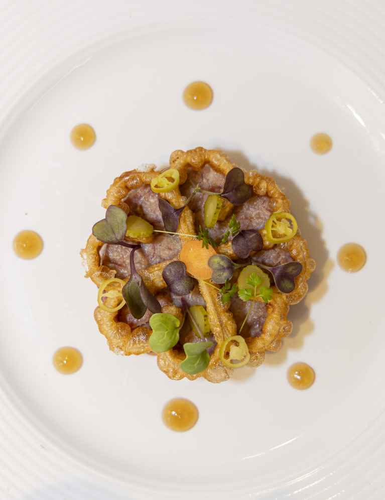 Detalle plato SNF25