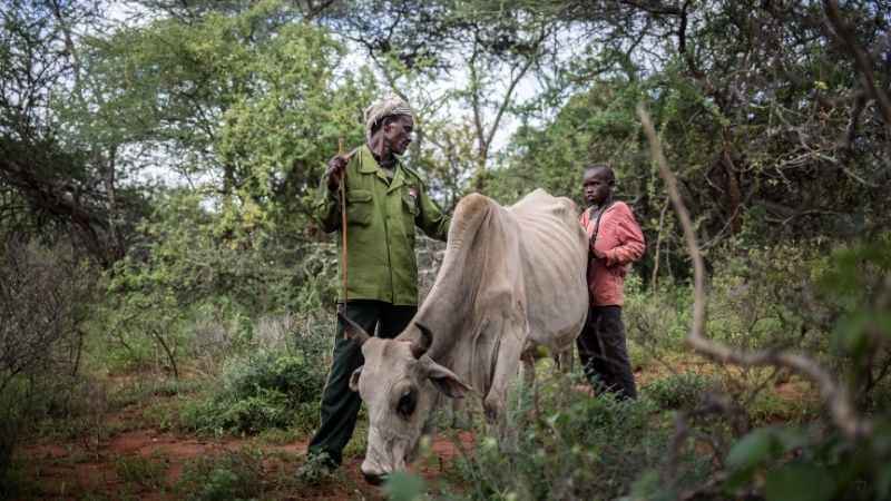 diseno sin titulo   2020 09 18t103009.651