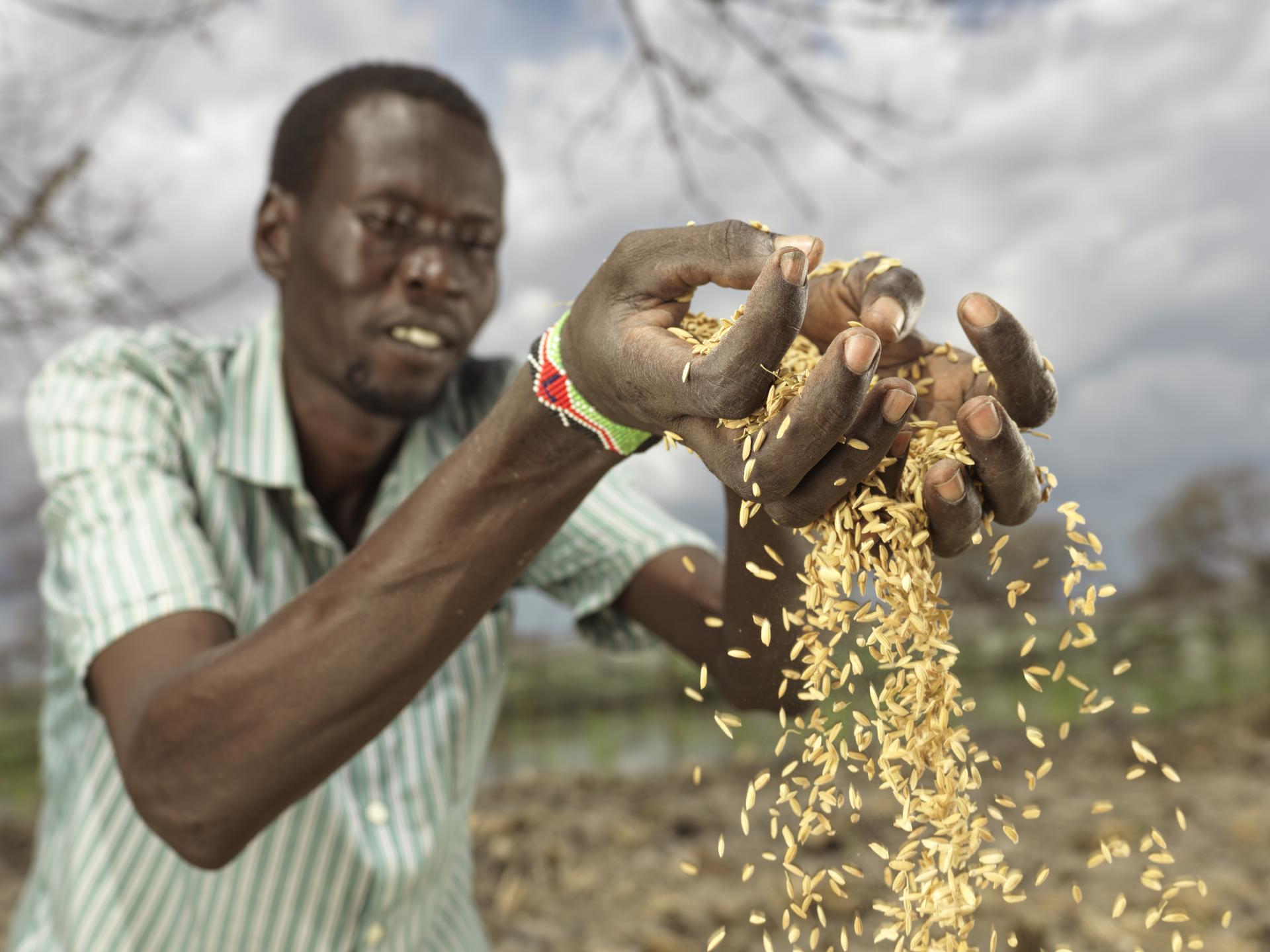crisis climática trae hambre