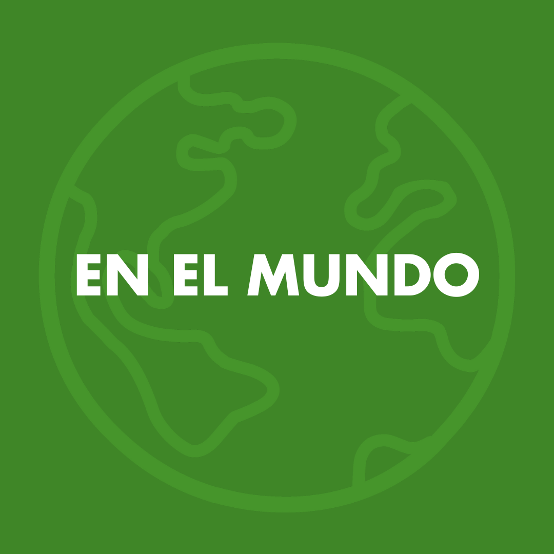 Datos Carrera en el mundo