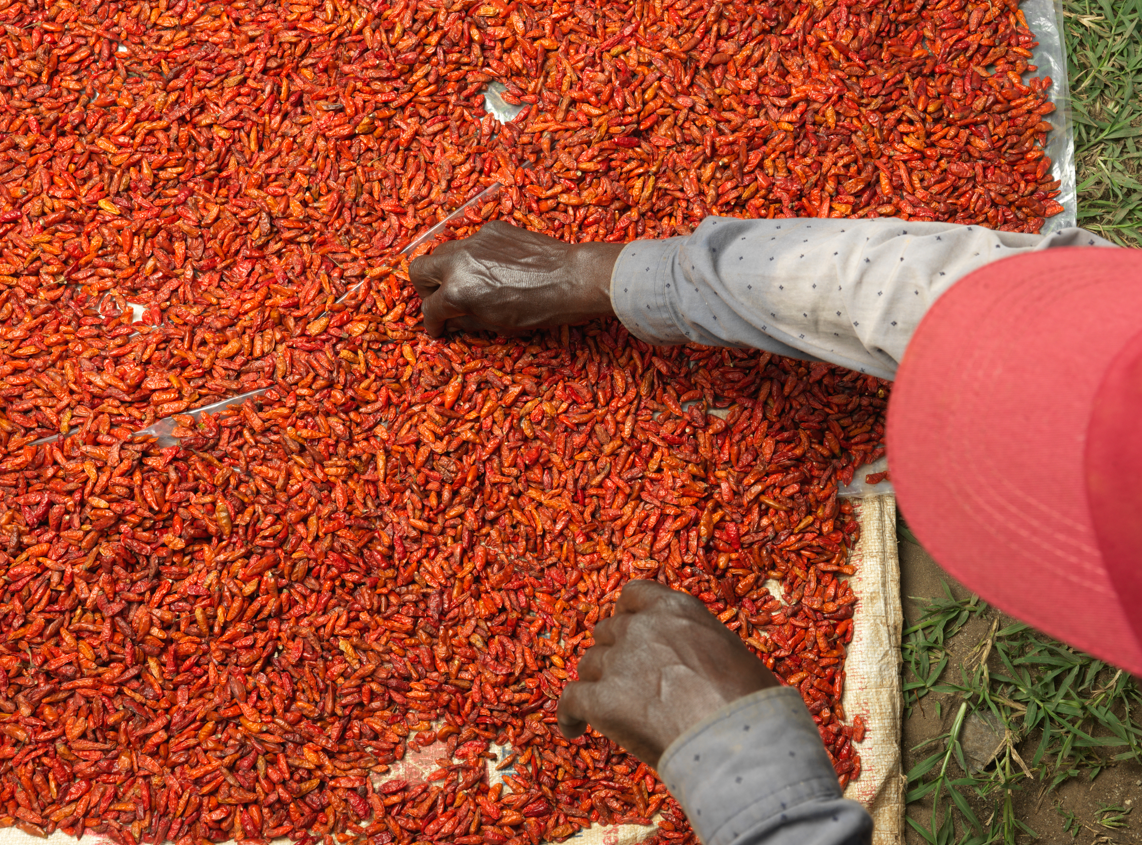 chillies