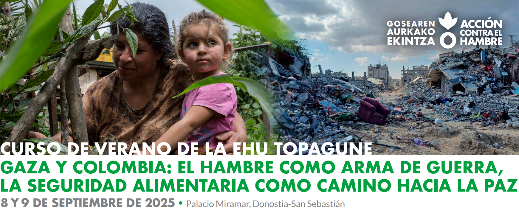 curso de verano