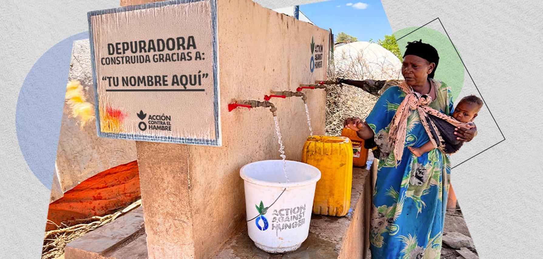 tesamento solidario