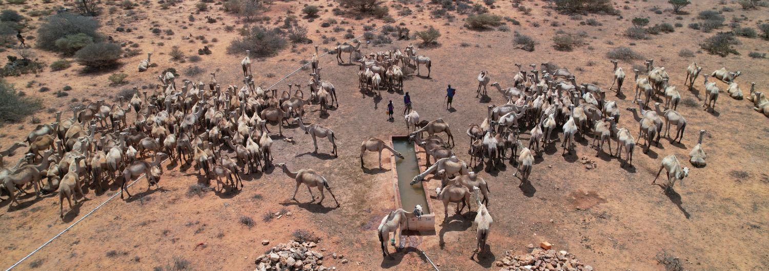 Sahel: información geográfica alimentada por pastores y satélites para reducir el hambre