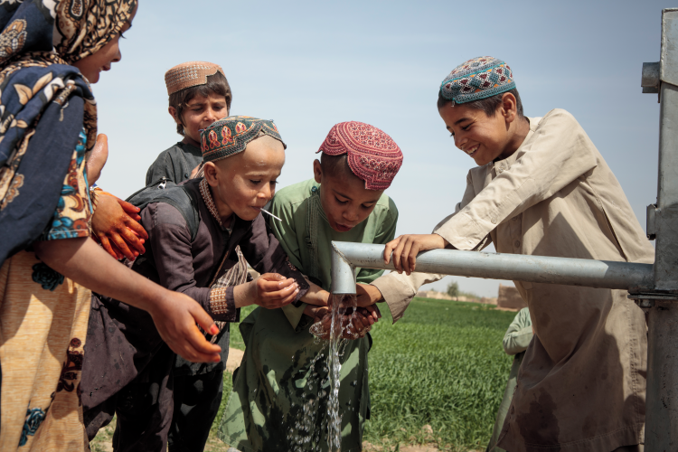afg_wash_2022_sandra_calligaro_8.png afg wash 2022 sandra calligaro 8