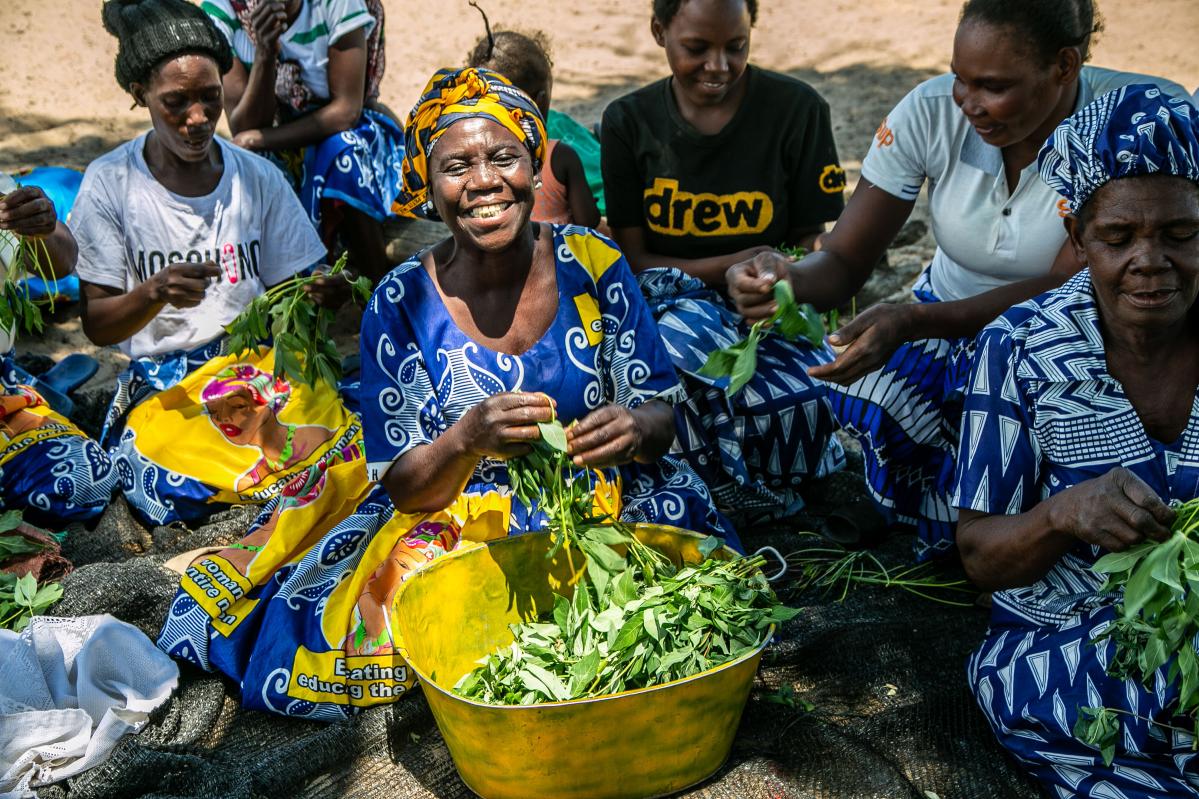 Dorothy Samba Makina (64) se sienta bañada por el sol y sonriente en el centro de un grupo de amigos y parientes mientras recogen hojas frescas de mandioca en la aldea de Kande, en el campamento agrícola de Kaeya. Ufulu Studios