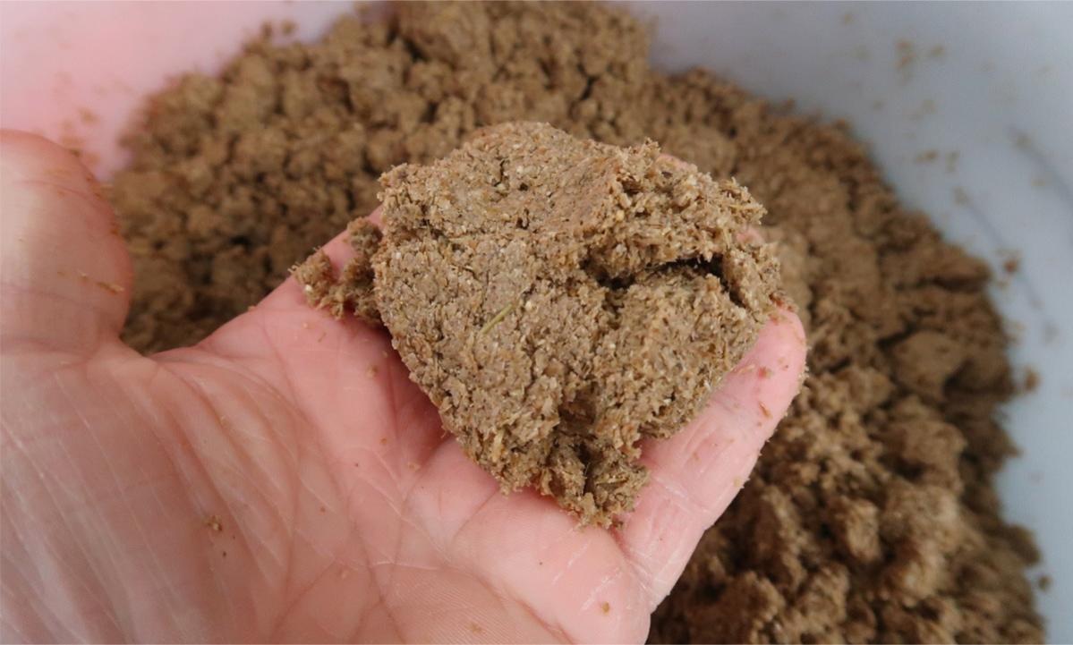 Avena húmeda - Upcycling - Juan Francisco Carrillo - Emprendedor Joven - Impact Upcycled Food - Día contra Desperdicio Alimentario - Acción contra el Hambre