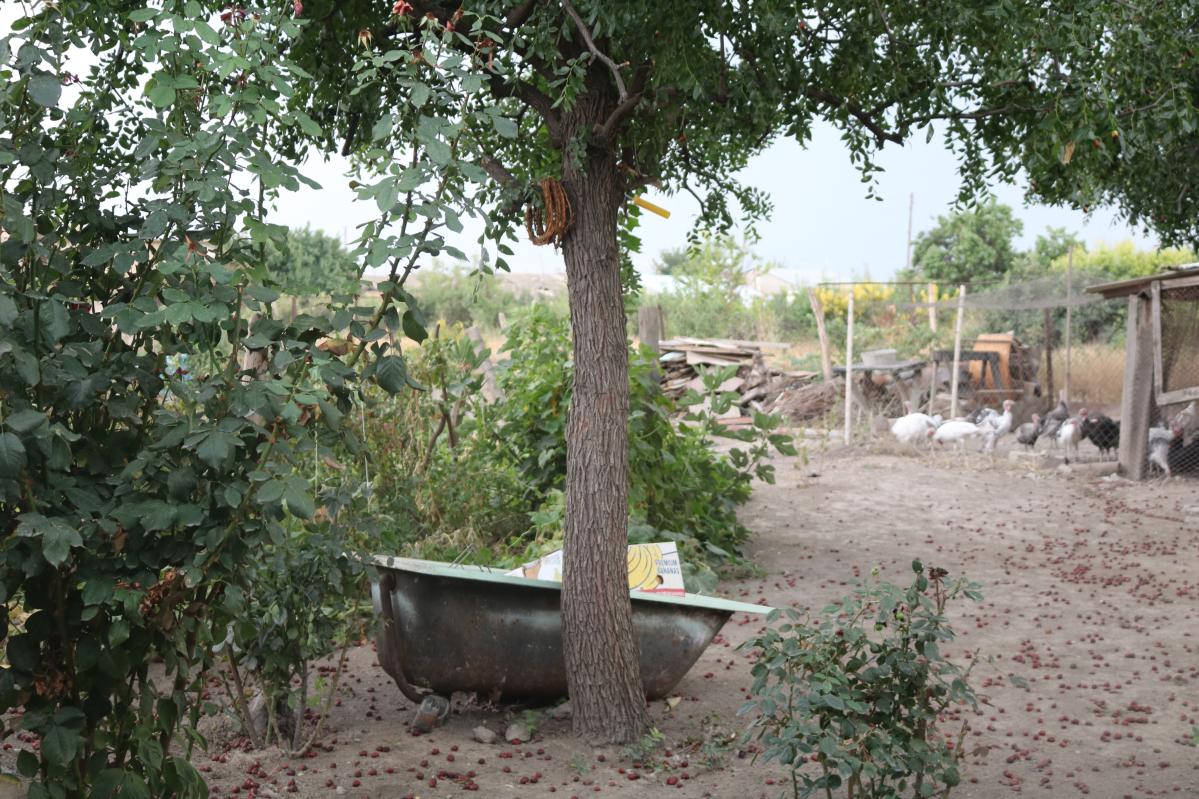 The garden in Nazik’s family rented house in Ararat province, Armenia © Laurence Moureh for Action Against Hunger.