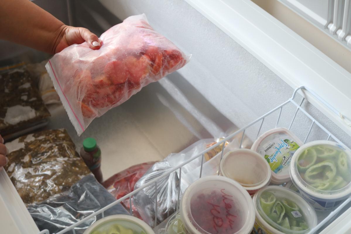 Food in the fridge-SouthCaucus-Armenia-Employment-Empowerment-Part2-ActionAgainstHunger