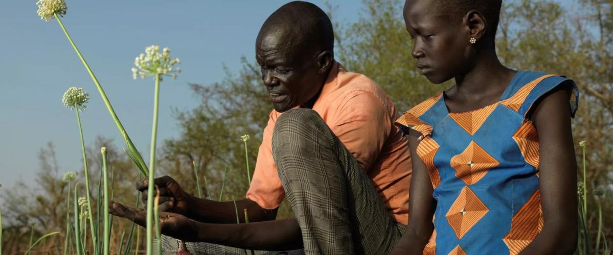 Dos sudaneses están arrodillados mientras examinan una flor silvestre.