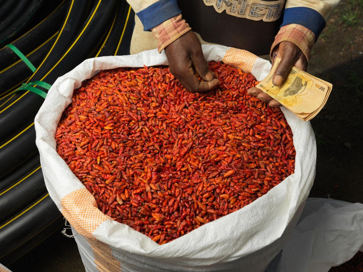 chillies