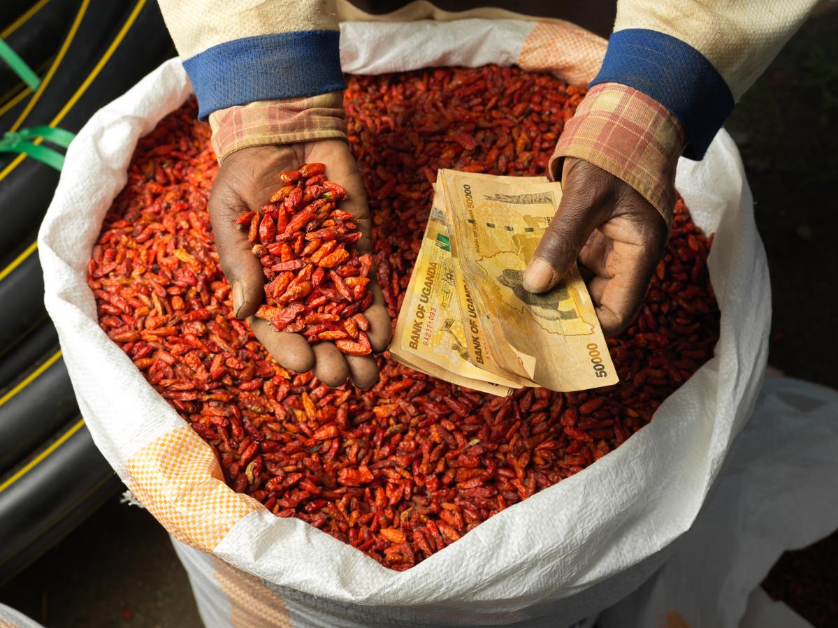 Chillies y dinero