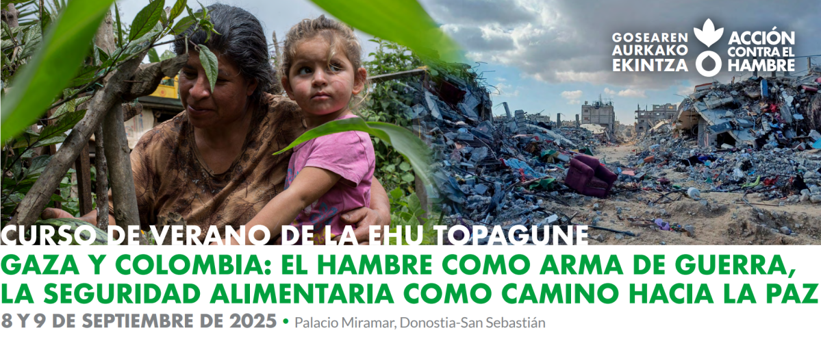 curso de verano