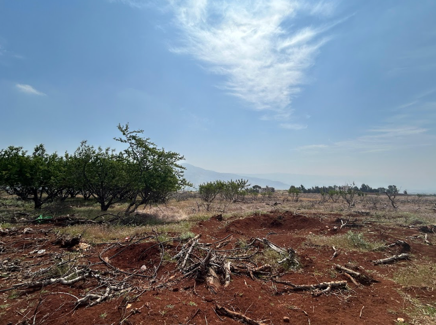 Lebanon south farmers