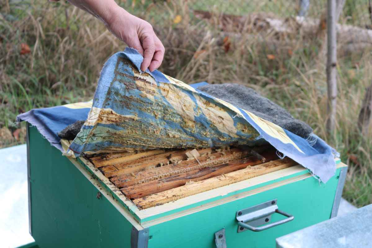 Empowering Change: Stories from the Action Against Hunger Shuttle Program in Tavush