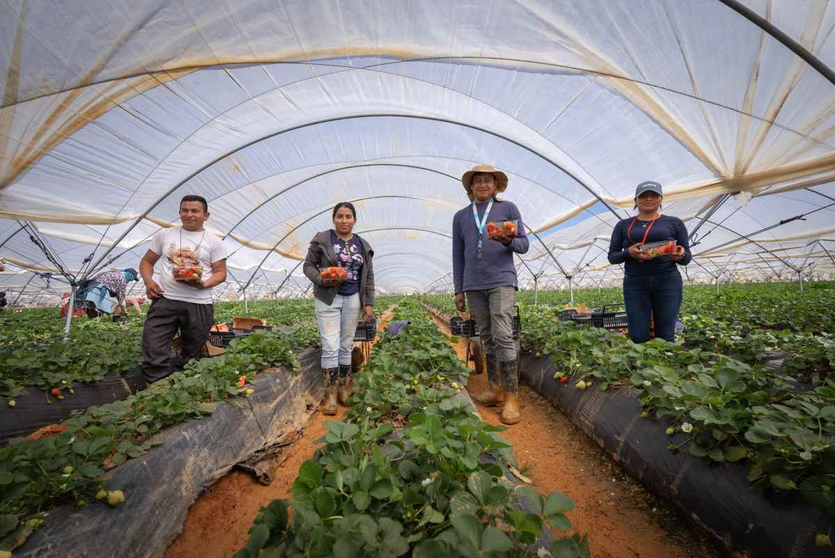 Huelva Honduras Programa Cosechando oportunidades