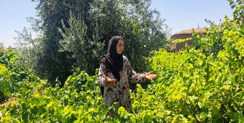 lebanon women