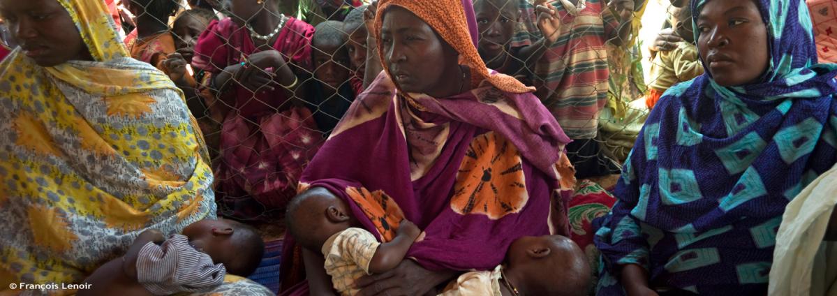 La seguridad alimentaria y la situación de la nutrición en el Sahel en 2014