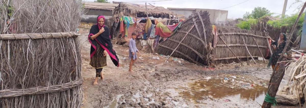 Pakistán: una de cada siete personas afectadas  por las lluvias monzónicas
