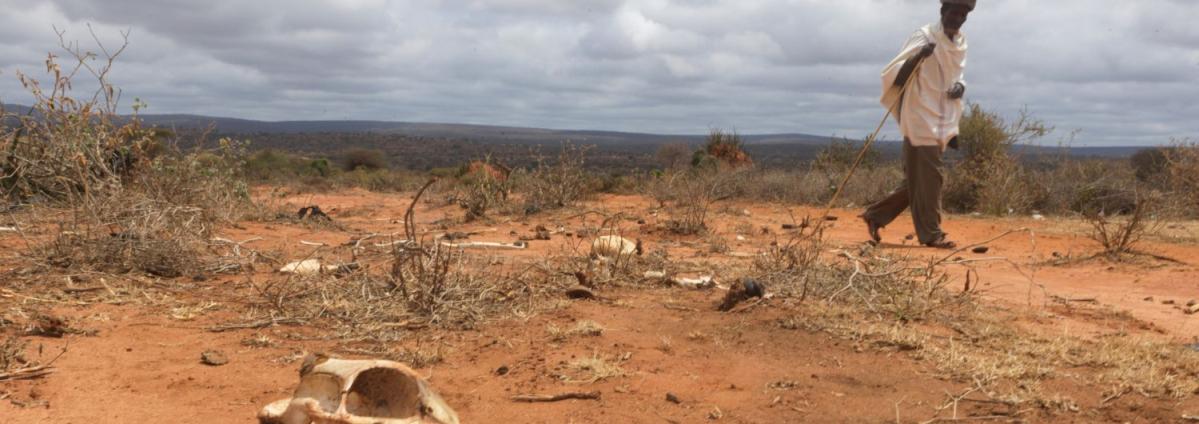 El cuerno de África en riesgo de crisis alimentaria grave por la sequía 