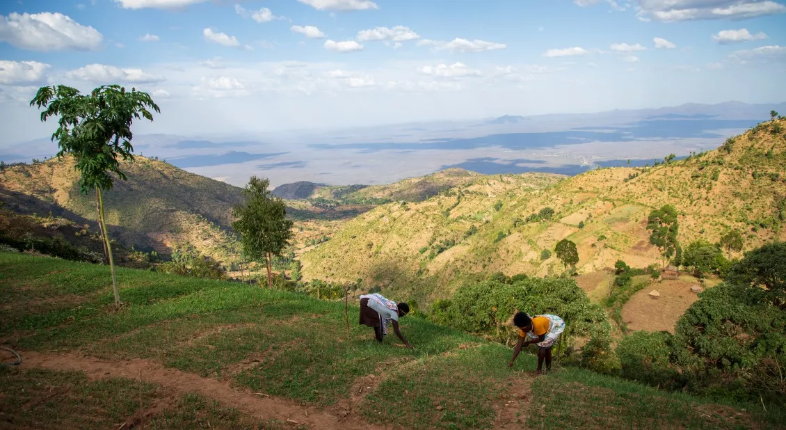 kenya_westpokot_abel-accion-contra-hambre-kenia