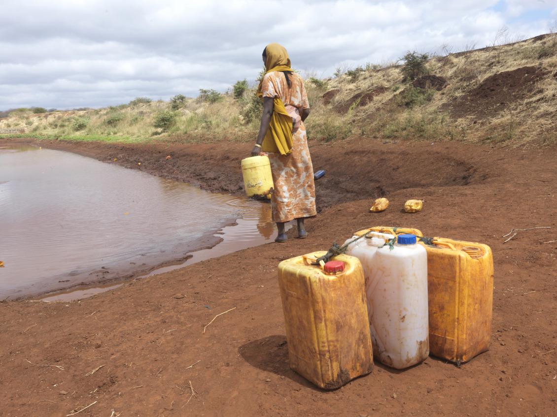 Las sequías prolongadas se han hecho más frecuentes y extremas en los últimos años, dificultando el acceso de las familias al agua potable y a alimentos suficientes.