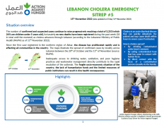 lebanon cholera emergency portada min