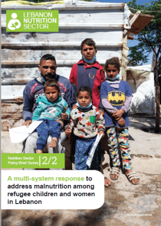 nutrition sector policy brief series